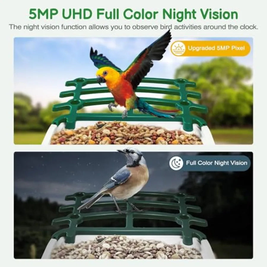 SHXI Smart Bird Feeder With Camera AI Species Identification