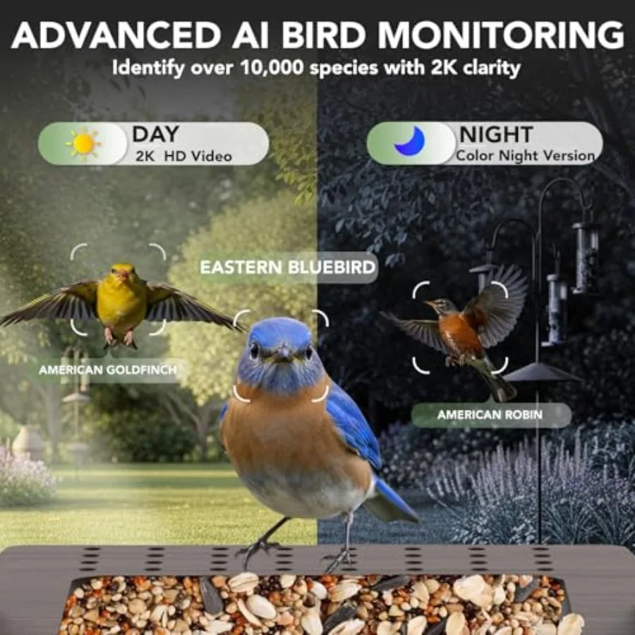 SHXI Solar Powered Bird Feeder Camera 2K AI Identify Species