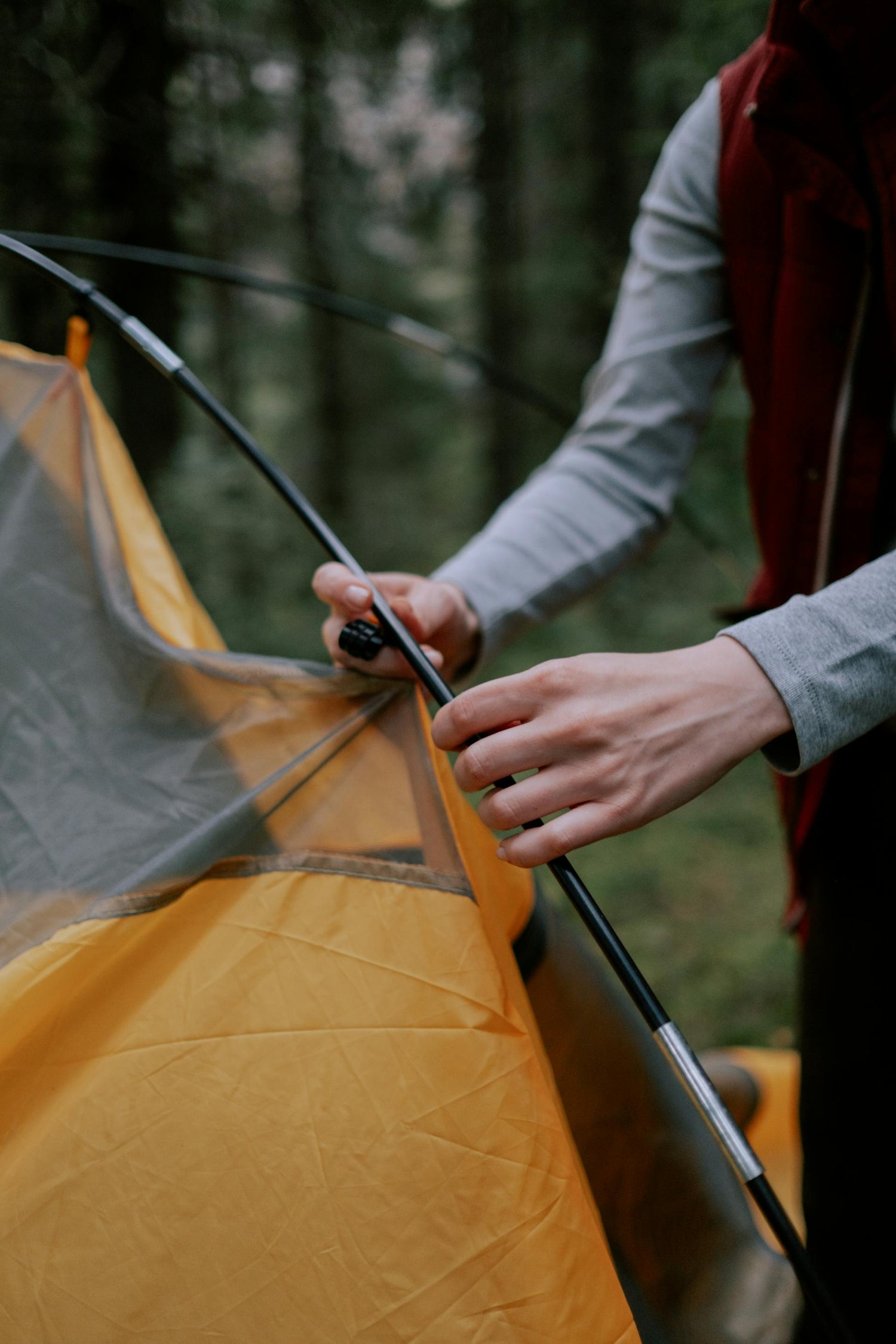 Tents & Shelter