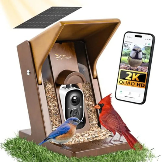 SHXI Solar Powered Bird Feeder Camera 2K AI Identify Species