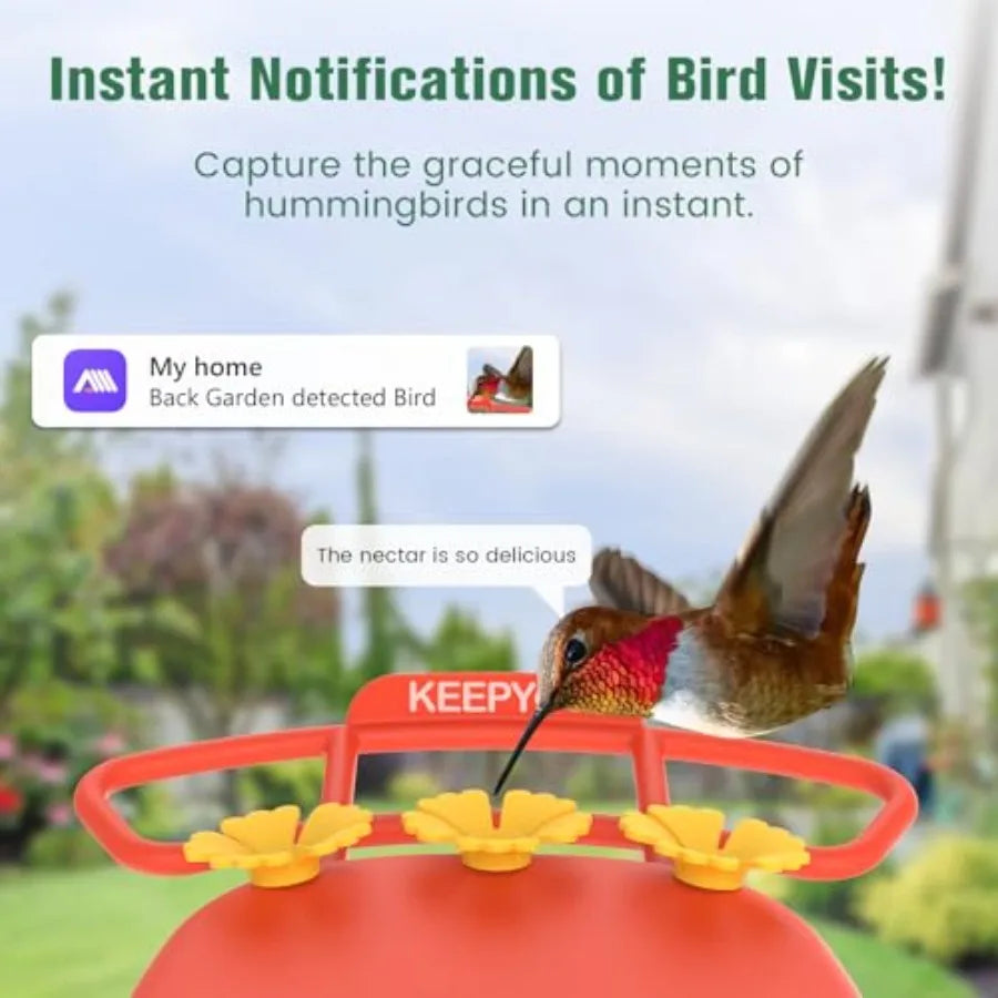 2.5K Hummingbird Feeder With Camera Wireless Smart Bird Feeder AI Identify 32GB