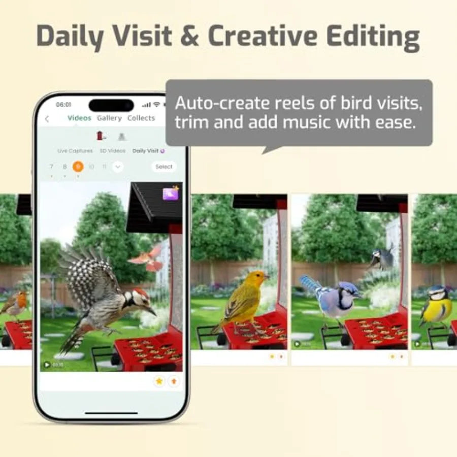 SHXI Smart Bird Feeder With Camera And AI Bird Identifier
