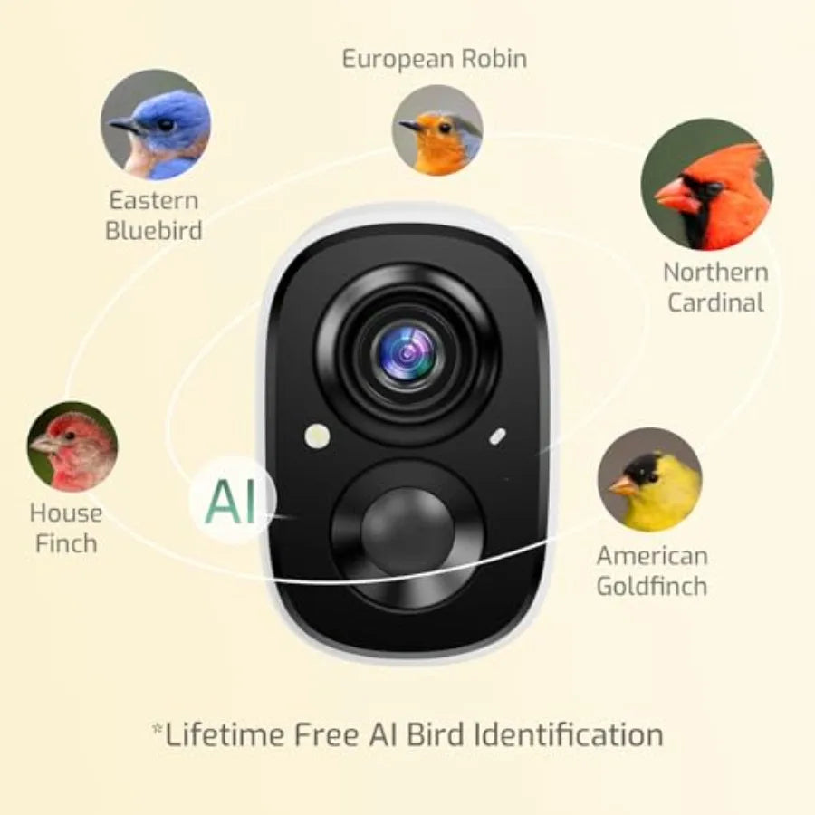 SHXI Smart Bird Feeder With Camera And AI Bird Identifier