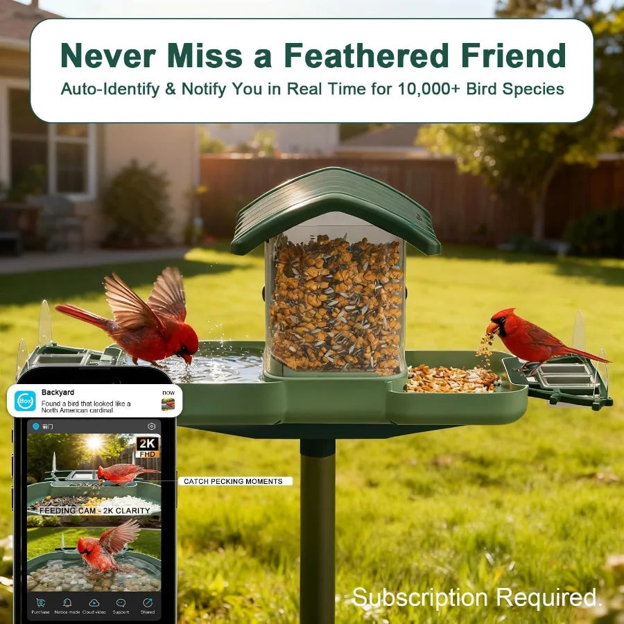 SHXI Dual Lens Smart Bird Feeder With Camera And Bath
