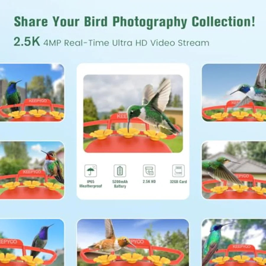 2.5K Hummingbird Feeder With Camera Wireless Smart Bird Feeder AI Identify 32GB
