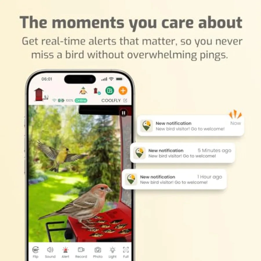 SHXI Smart Bird Feeder With Camera And AI Bird Identifier